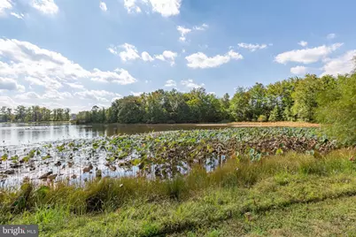 7116 Lake Drive, Warrenton, VA 20187 - Photo 14