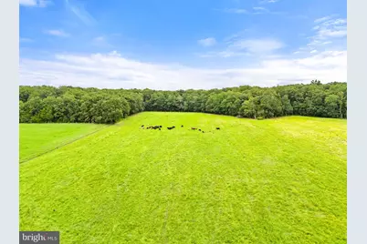 5364 Woodside Lane, Bealeton, VA 22712 - Photo 106