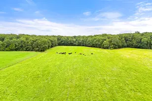 5364 Woodside Ln, Bealeton, VA 22712 - Photo 106