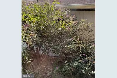 5084 Fairview Lane, Broad Run, VA 20137 - Photo 34