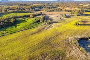 4561 Weston Rd, Warrenton, VA 20187 - Photo 56