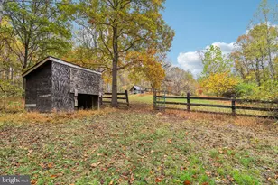 9830 Wineberry Rd, Marshall, VA 20115 - Photo 86