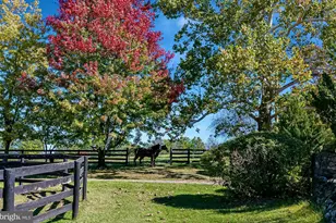 1610 Delaplane Grade Rd, Upperville, VA 20184 - Photo 20