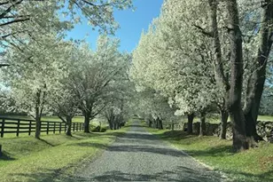 1610 Delaplane Grade Rd, Upperville, VA 20184 - Photo 120