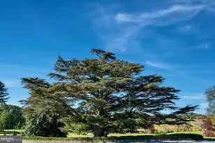 1610 Delaplane Grade Rd, Upperville, VA 20184 - Photo 8