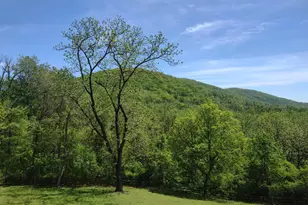 3998 Hidden Valley Ln, Linden, VA 22642 - Photo 46