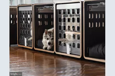 4873 Point Road, Warrenton, VA 20187 - Photo 8