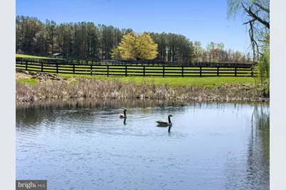 3252 Winchester Rd, Delaplane, VA 20144 - Photo 74