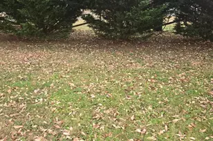 53 Madison St, Warrenton, VA 20186 - Photo 4