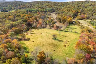 4050 Carrington, Delaplane, VA 20144 - Photo 50