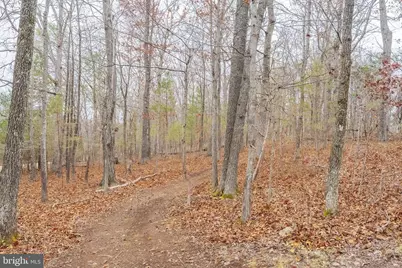 6245 Squirrel Nest Lane, Warrenton, VA 20187 - Photo 54