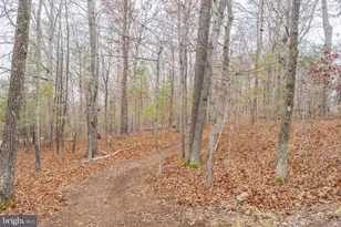 6245 Squirrel Nest Ln, Warrenton, VA 20187 - Photo 54