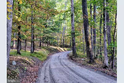 Lots 3 and 4 Ernest Robinson Road, Marshall, VA 20115 - Photo 14