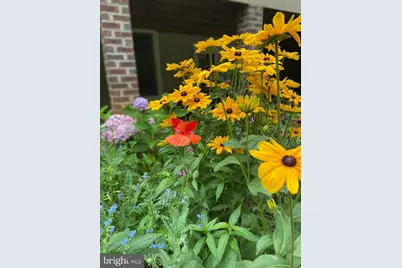 8182 Ashton Way, Warrenton, VA 20186 - Photo 66