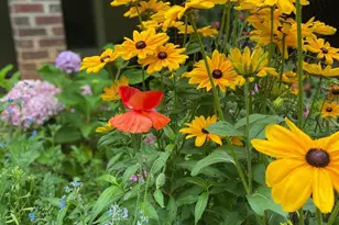 8182 Ashton Wy, Warrenton, VA 20186 - Photo 66