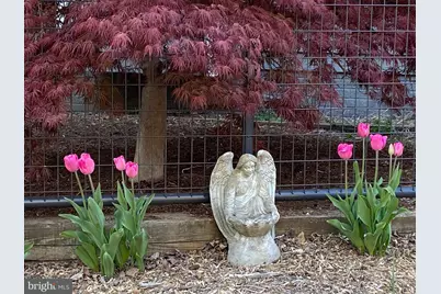 8182 Ashton Way, Warrenton, VA 20186 - Photo 68