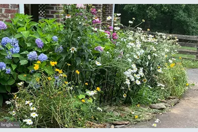 8182 Ashton Way, Warrenton, VA 20186 - Photo 74