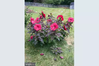 8182 Ashton Way, Warrenton, VA 20186 - Photo 70