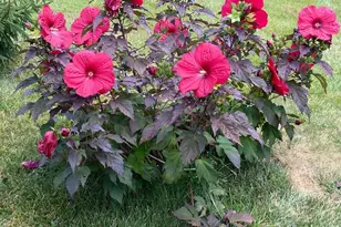 8182 Ashton Wy, Warrenton, VA 20186 - Photo 70