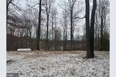 4520 Free State Road, Marshall, VA 20115 - Photo 14