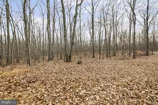 7389 Leeds Manor Rd, Marshall, VA 20115 - Photo 20