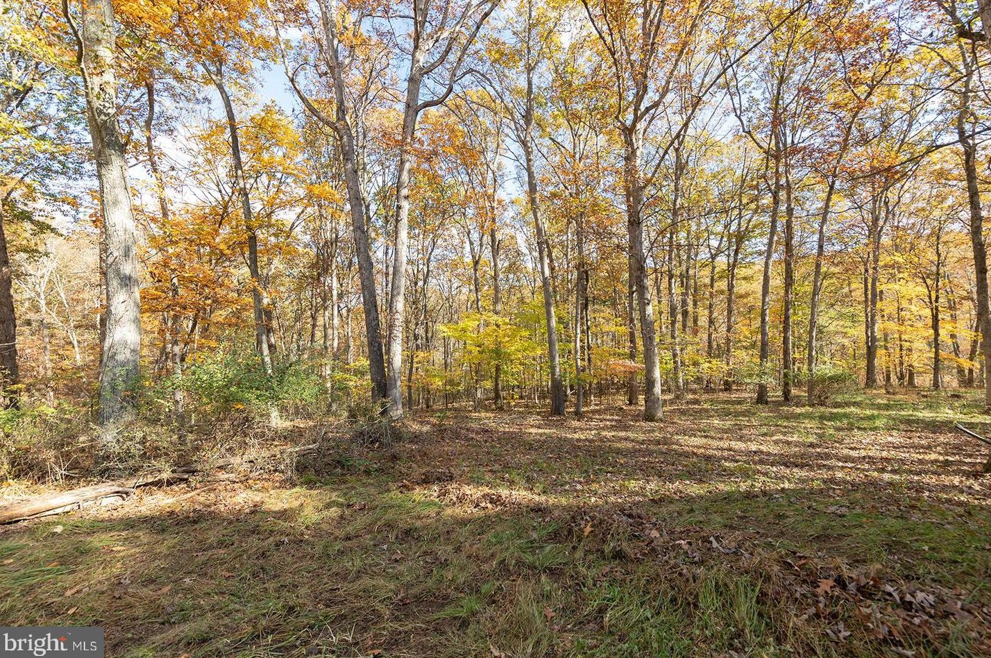 1862 Morgan Frederick Grade, Cross Junction, VA 22625-1715