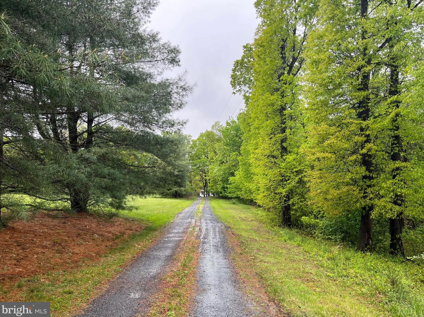 1049 Dicks Hollow Rd, Winchester, VA 22603