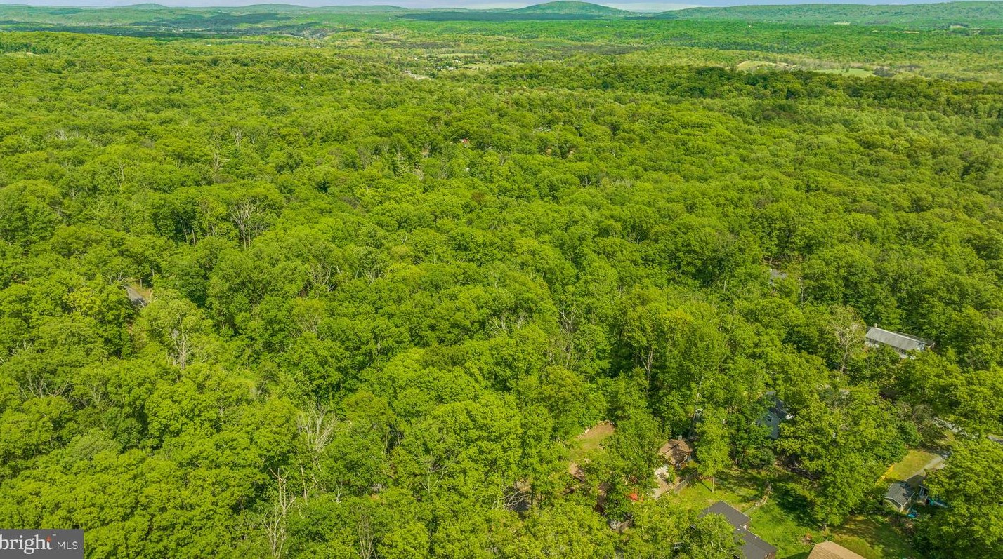 221 Graywolf Trl, Winchester VA  22602-1433 exterior