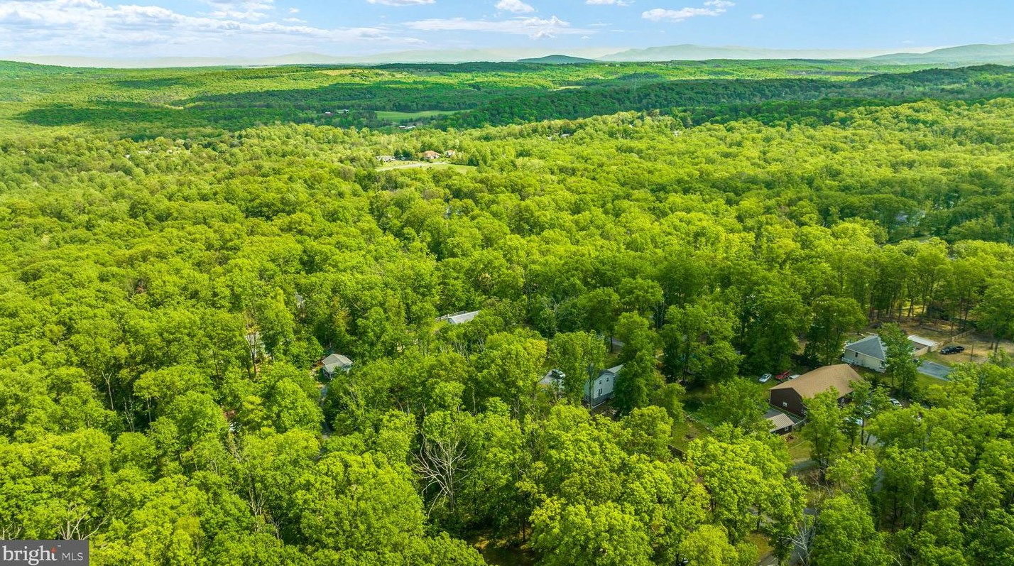 221 Graywolf Trl, Winchester VA  22602-1433 exterior