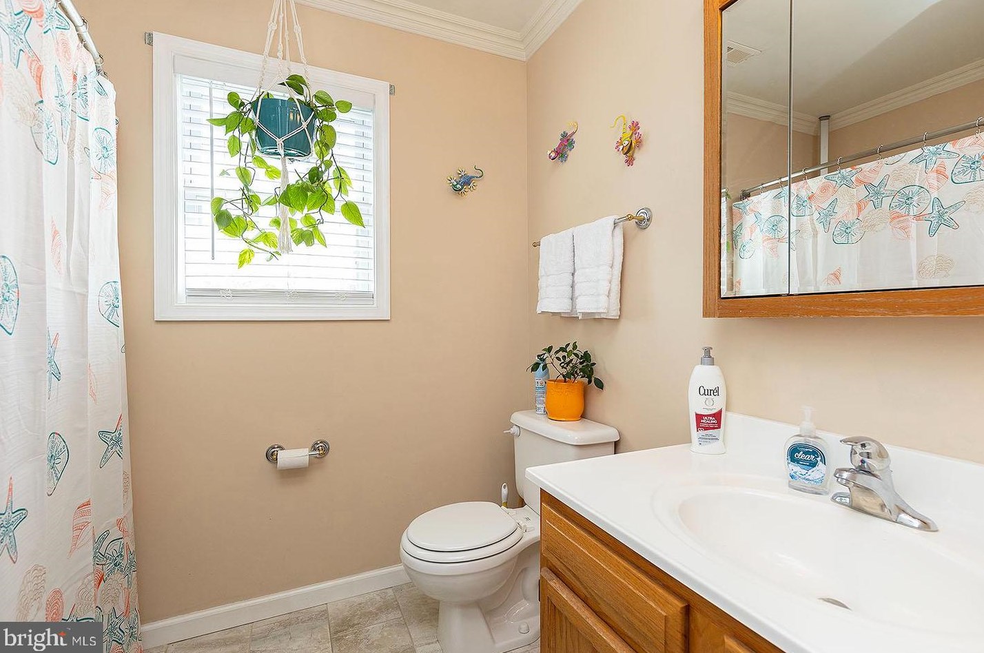 111 Atoka Dr, Winchester VA  22602-6805 exterior