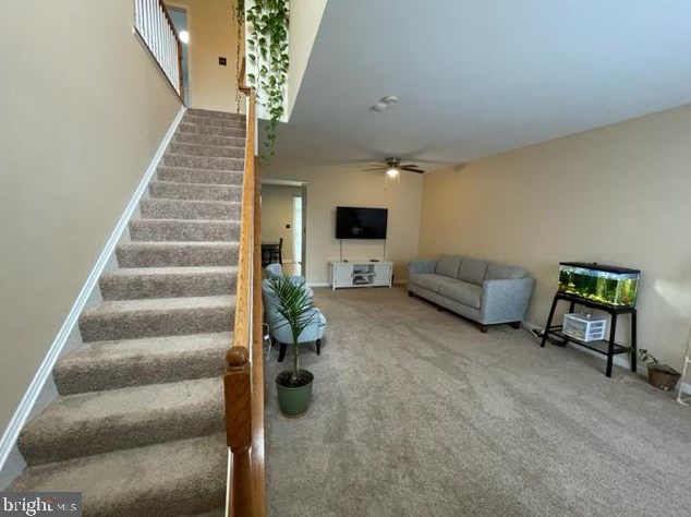 207 Berwick Ln, Stephens City, VA 22655
