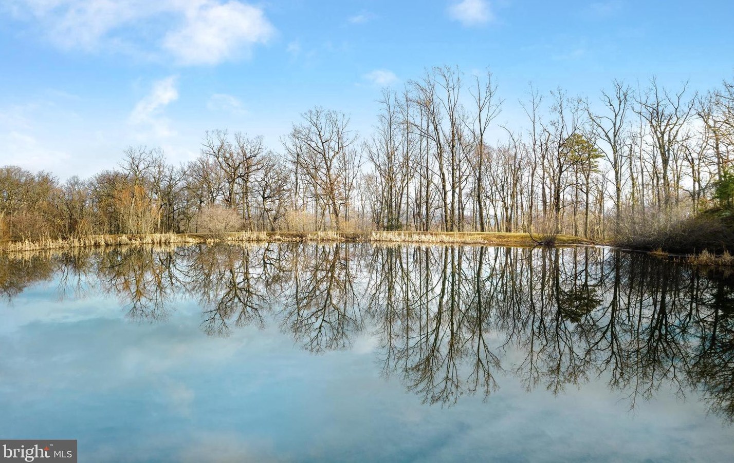 307 Fawn Dr, Winchester VA  22602-3500 exterior