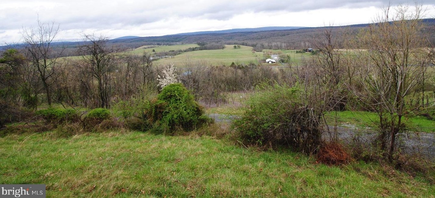 1742 Back Mountain Rd, Winchester VA  22602-1902 exterior