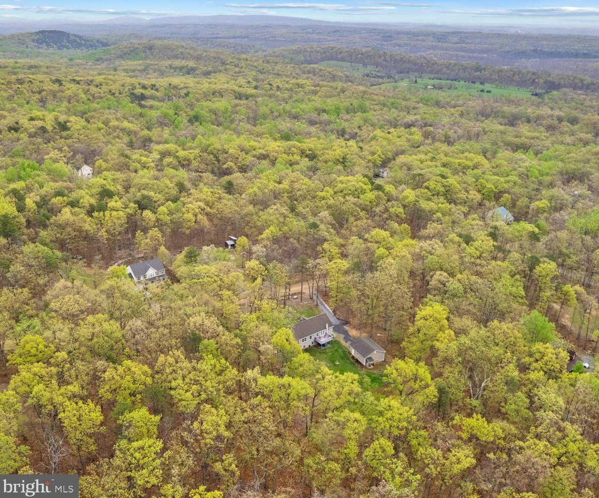 615 Remington Dr, Winchester VA  22602-3633 exterior