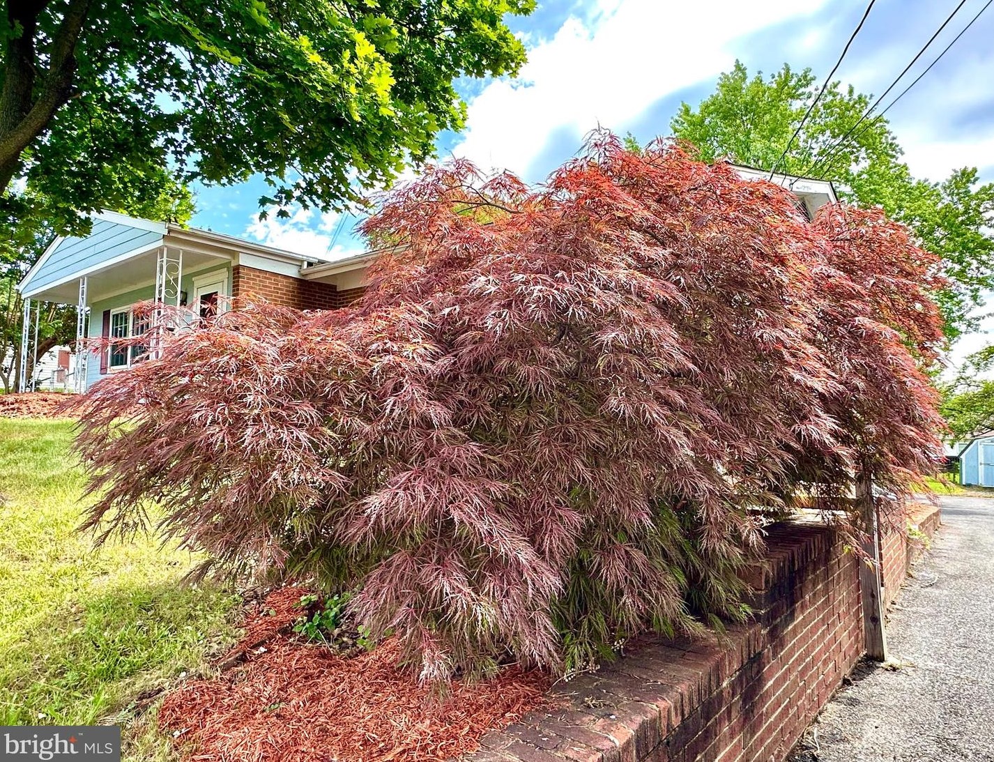 104 Donna Cir, Winchester VA 22602-6145 exterior