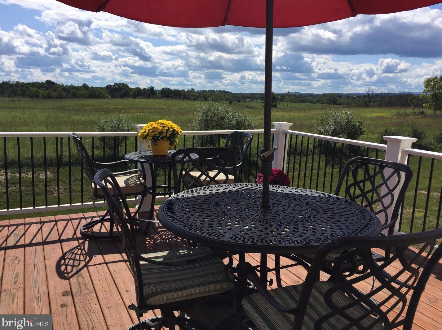 101 Domino Ct, Stephenson, VA 22656