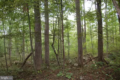 Forest Lane, Gore, VA 22637 - Photo 6