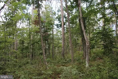 Forest Lane, Gore, VA 22637 - Photo 10