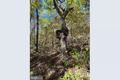 Lot 10,11,12-13 A Fox Trail, Winchester, VA 22602 - Photo 2