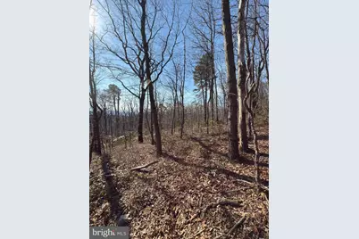 Lot 10,11,12-13 A Fox Trail, Winchester, VA 22602 - Photo 16