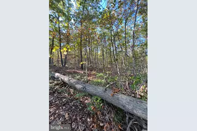 Lot 10,11,12-13 A Fox Trail, Winchester, VA 22602 - Photo 6