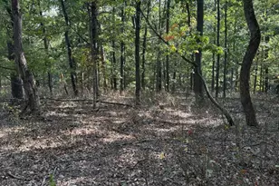 Light Rd, Winchester, VA 22603 - Photo 1