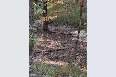 Light Road, Winchester, VA 22603 - Photo 4