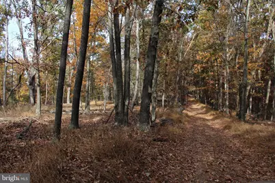 Easter Ridge Lot 7 Lane, Winchester, VA 22603 - Photo 4