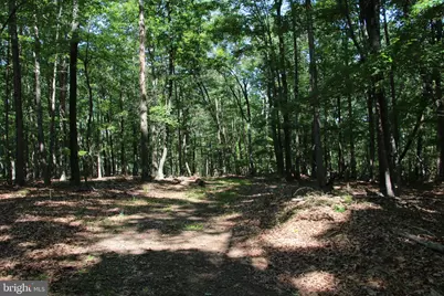 Easter Ridge Lot 7 Lane, Winchester, VA 22603 - Photo 6