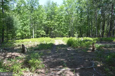 Files Chapel Drive, Winchester, VA 22603 - Photo 40