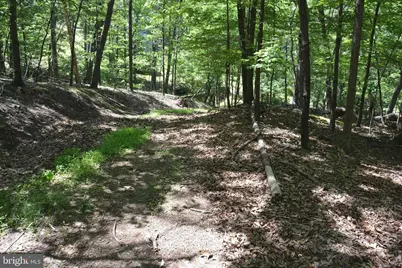 Files Chapel Drive, Winchester, VA 22603 - Photo 34