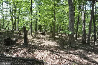 Files Chapel Drive, Winchester, VA 22603 - Photo 44