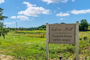 131 Chanterelle Ct, Stephens City, VA 22655 - Photo 68