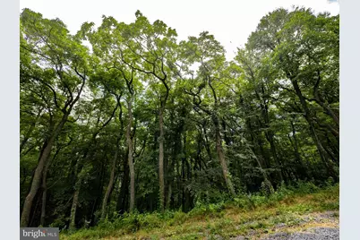 Lots 182, 183, 184 Rockwood Trail, Winchester, VA 22602 - Photo 6